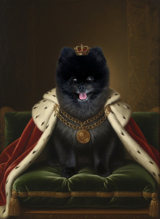 Portoriko the Pomeranian as a king