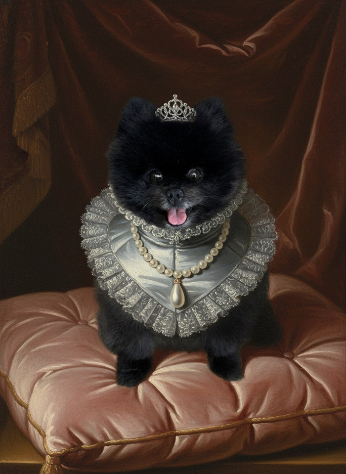 Pomerania pintado como La Reina, con vestido de seda y tiara